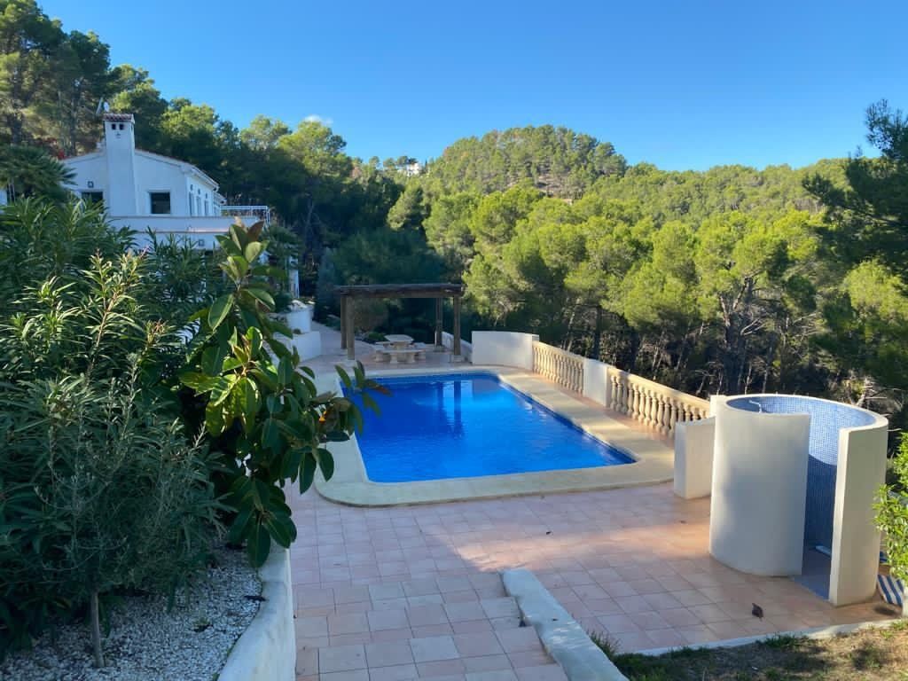 La piscine privée dans la pinède